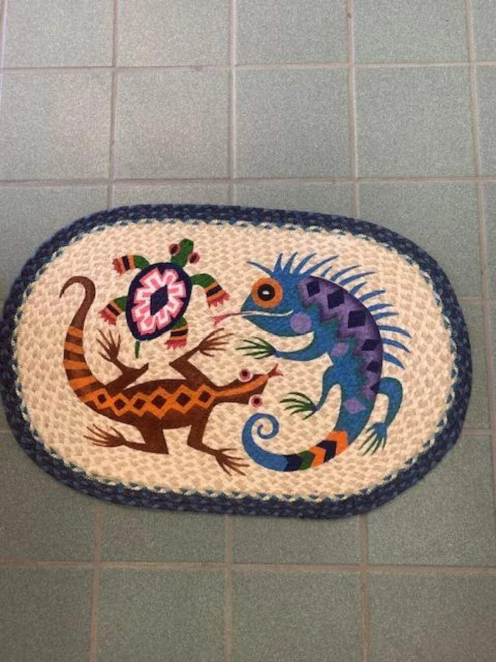 Southwest Desert Dwellers 20 x 30 Accent rug